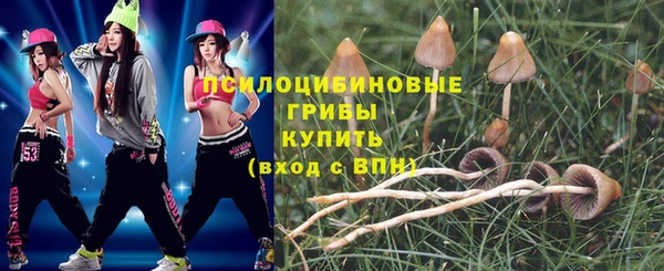 МДМА Каменка