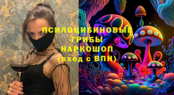 МДМА Каменка