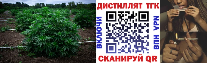 Купить закладки  Кандалакша  ТГК вейп с тгк 