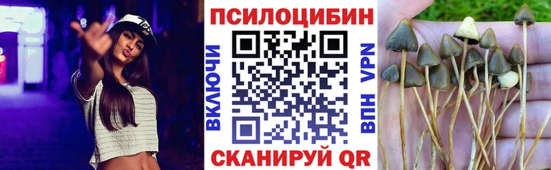 Псилоцибиновые грибы Psilocybine cubensis  Купить где  Кандалакша 